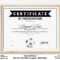 EDITABLE Soccer Football Certificate Template Sports – Etsy With Football Certificate Template