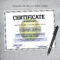 Editable Softball Certificate Template – LillyBellePaperie For Softball Award Certificate Template