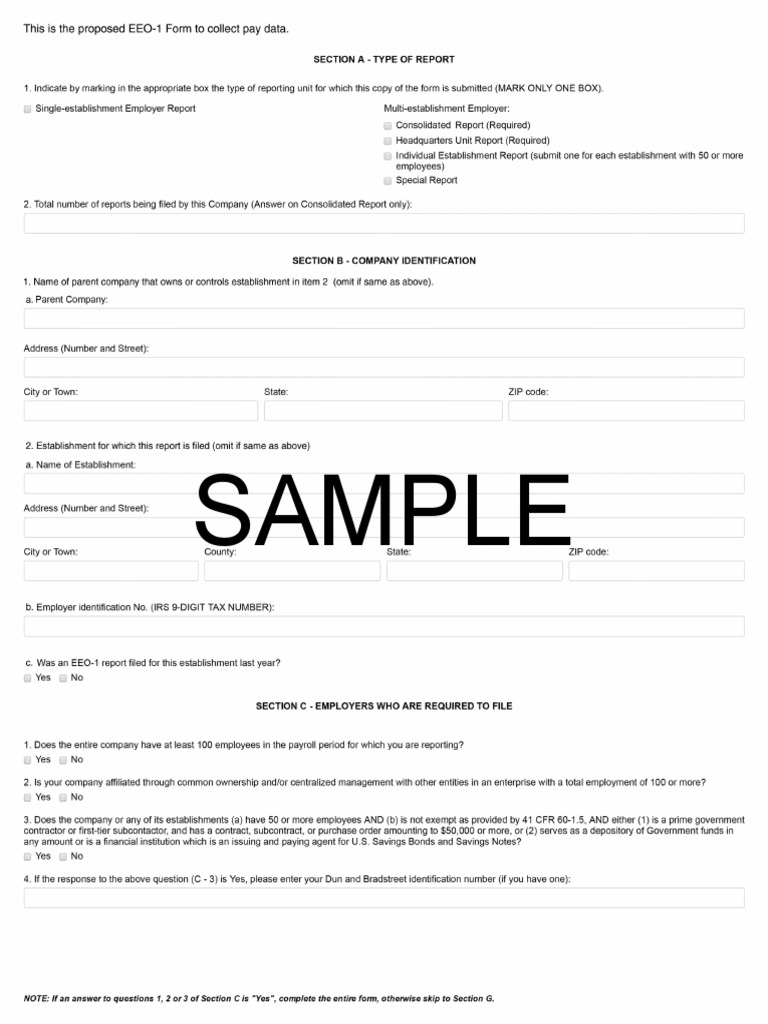 EEO Pay Equity Sample Report Component 100 and 100 Sample 10001007 Eeo100  With Eeo 1 Report Template