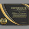Elegant Certificate Template Vector Art & Graphics  Freevector