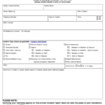 emergency incident report template: Fill out & sign online  DocHub