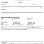 Emergency Incident Report Template: Fill Out & Sign Online  DocHub For Serious Incident Report Template