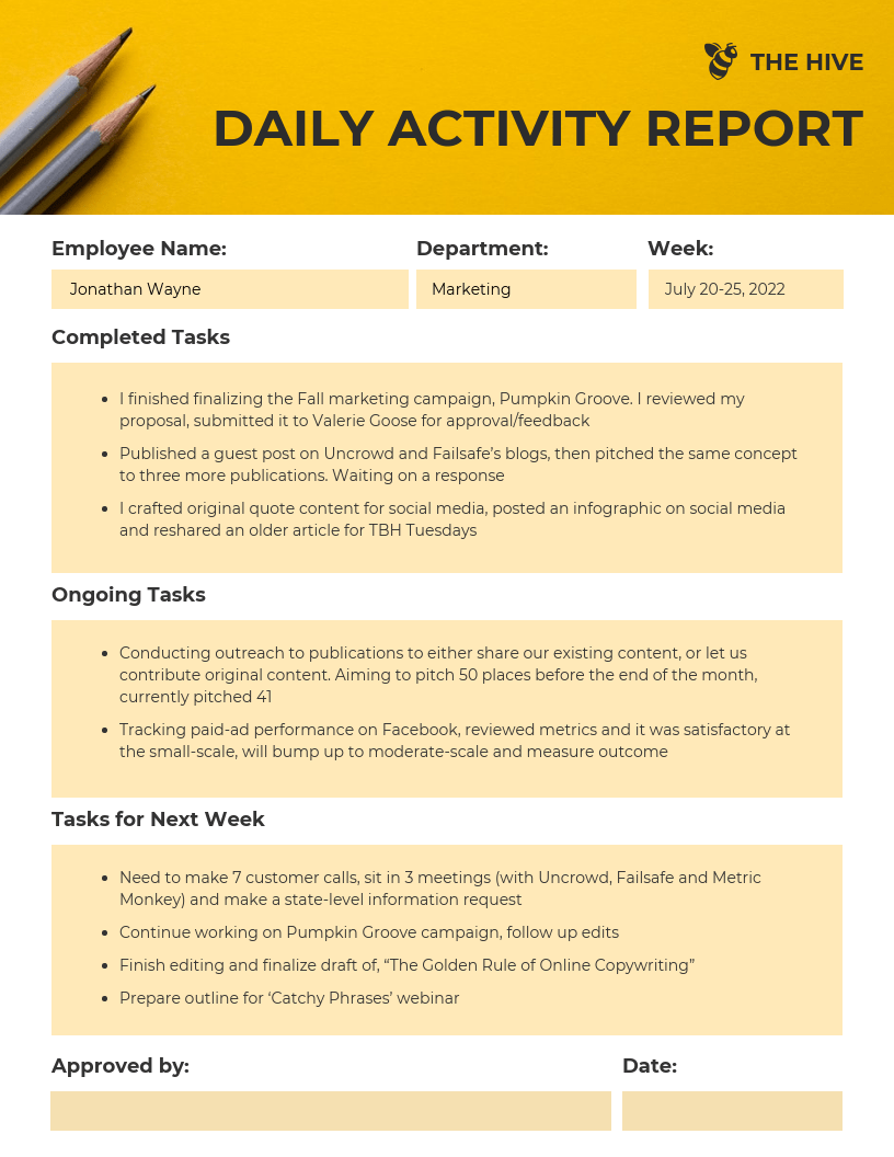 Employee Daily Activity Report Template Throughout Training Summary Report Template