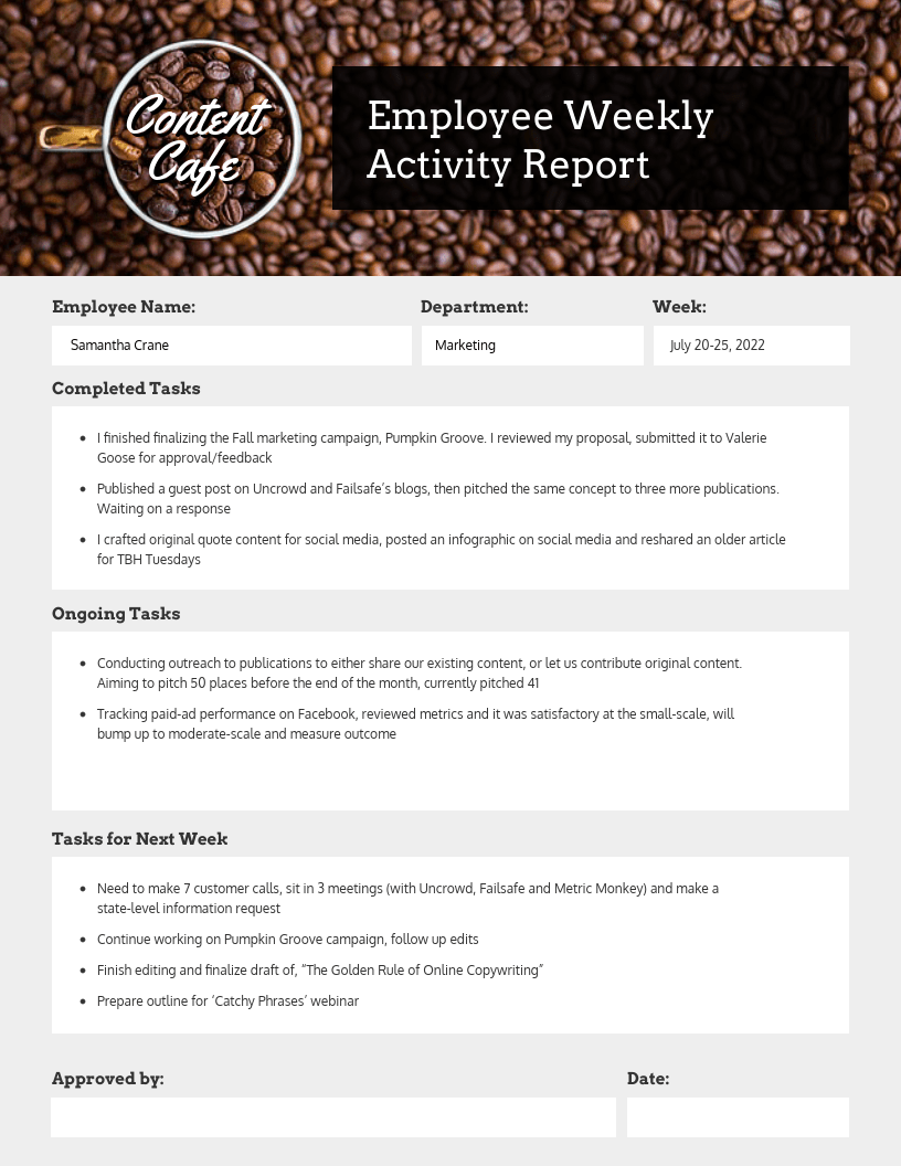 Employee Weekly Status Report In Weekly Activity Report Template