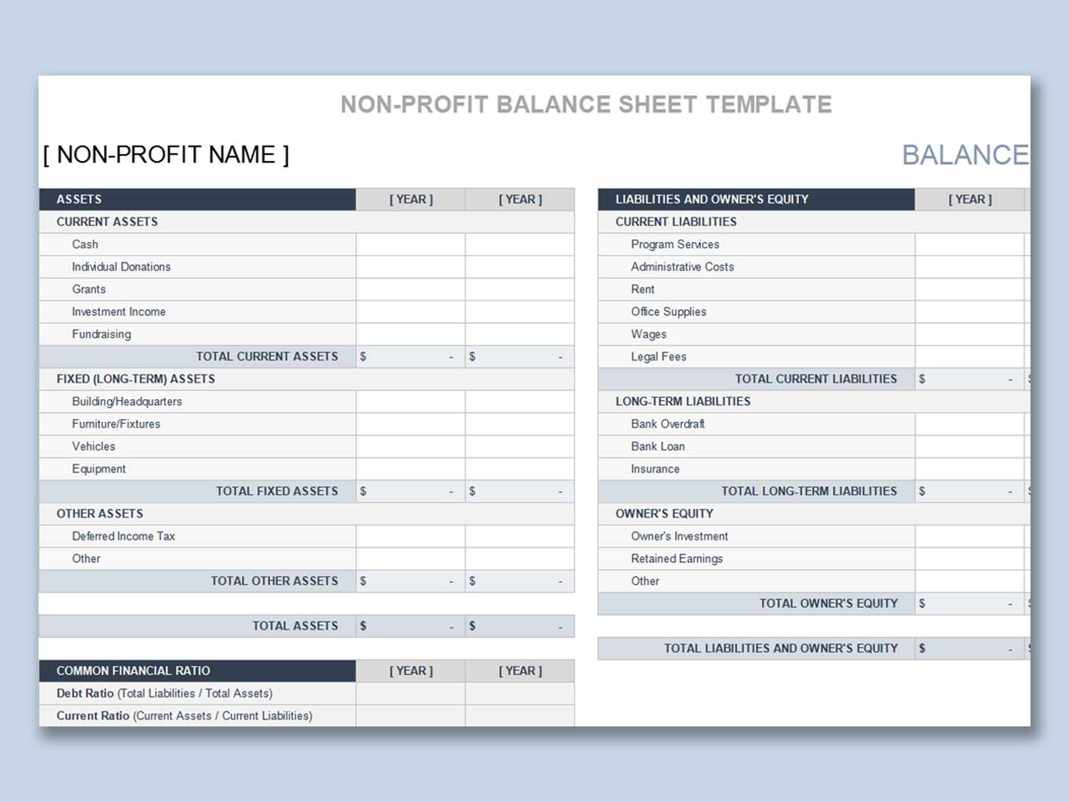 EXCEL of Non Profit Balance Sheet Statement