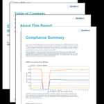Executive NESA Summary Report – SC Report Template Tenable® Intended For Executive Summary Report Template