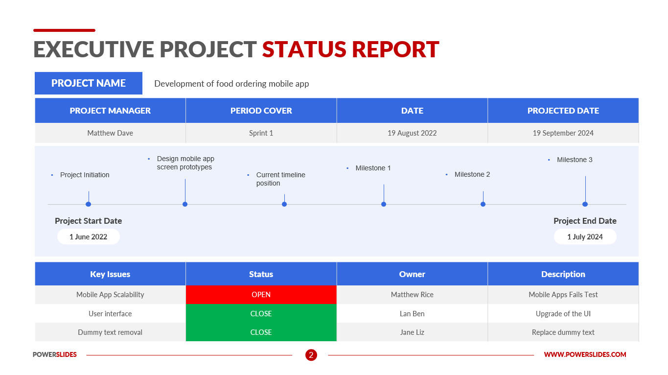 Executive Project Status Report Template  Download Now Inside Project Status Report Template Word 2010