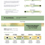 Executive Project Status Report Template Pertaining To Executive Summary Project Status Report Template