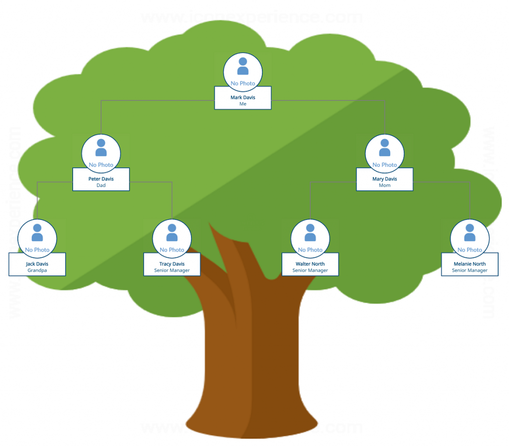 Family Tree Examples To Easily Visualize Your Family History Inside Fill In The Blank Family Tree Template