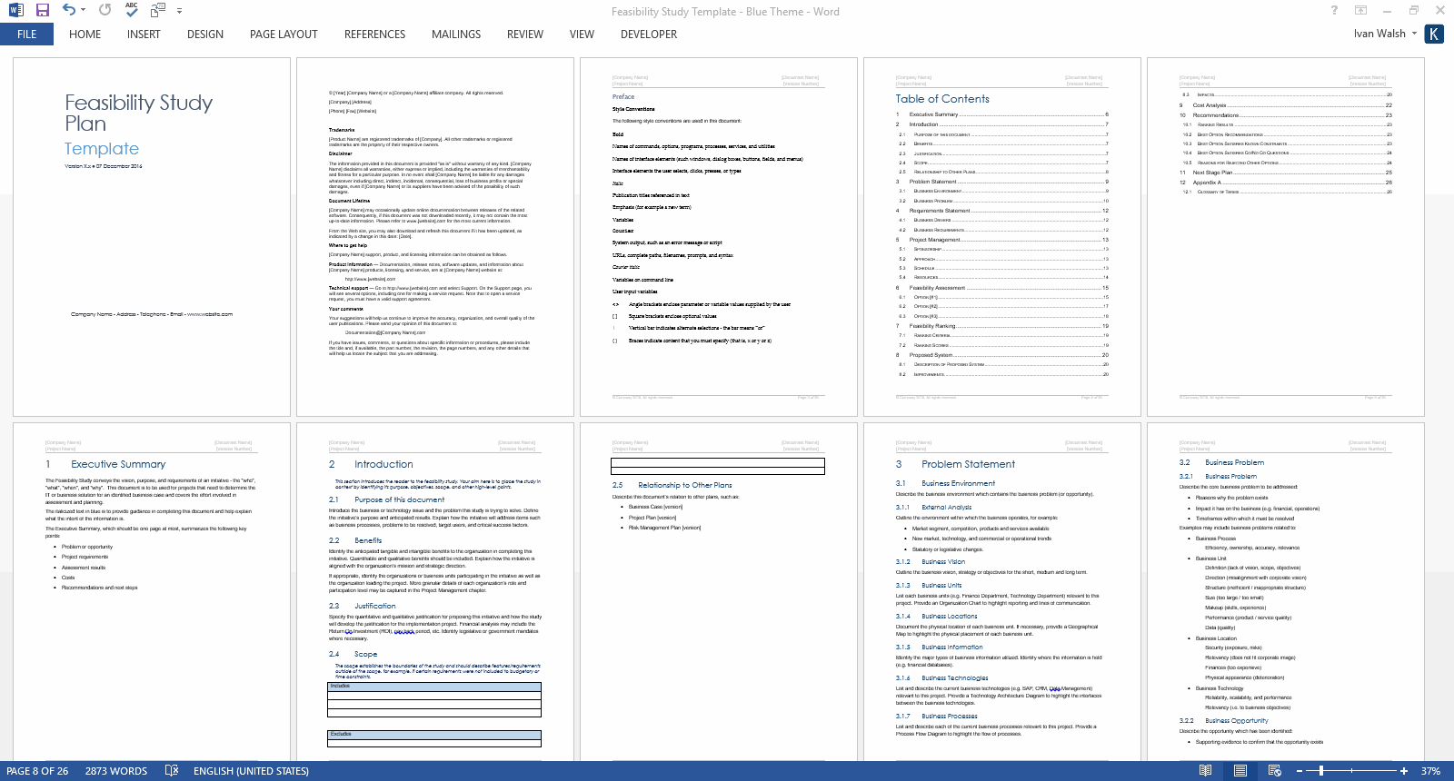 Feasibility Study Template – Templates, Forms, Checklists For MS  Inside Technical Feasibility Report Template