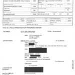 File:Police Report Files