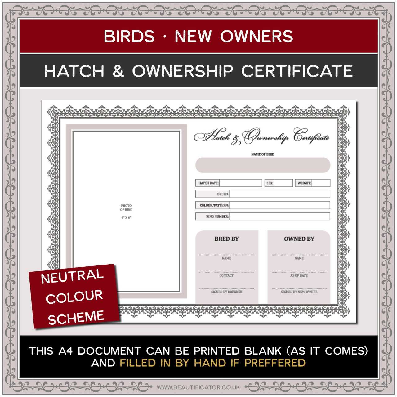 FILLABLE: A10 Bird Hatch And Ownership Certificate Template With 10  Regarding Ownership Certificate Template