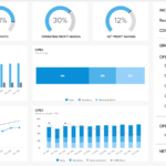 Financial Report Examples For Monthly Statements & Reports In Flexible Budget Performance Report Template