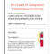 Fire Extinguisher Certificate  PDF Intended For Fire Extinguisher Certificate Template