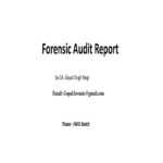 Forensic Audit Report  PDF  Financial Audit  Fraud For Forensic Accounting Report Template