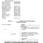 Form KMH 10 Download Printable PDF Or Fill Online Judgment Of  Inside Acquittal Report Template