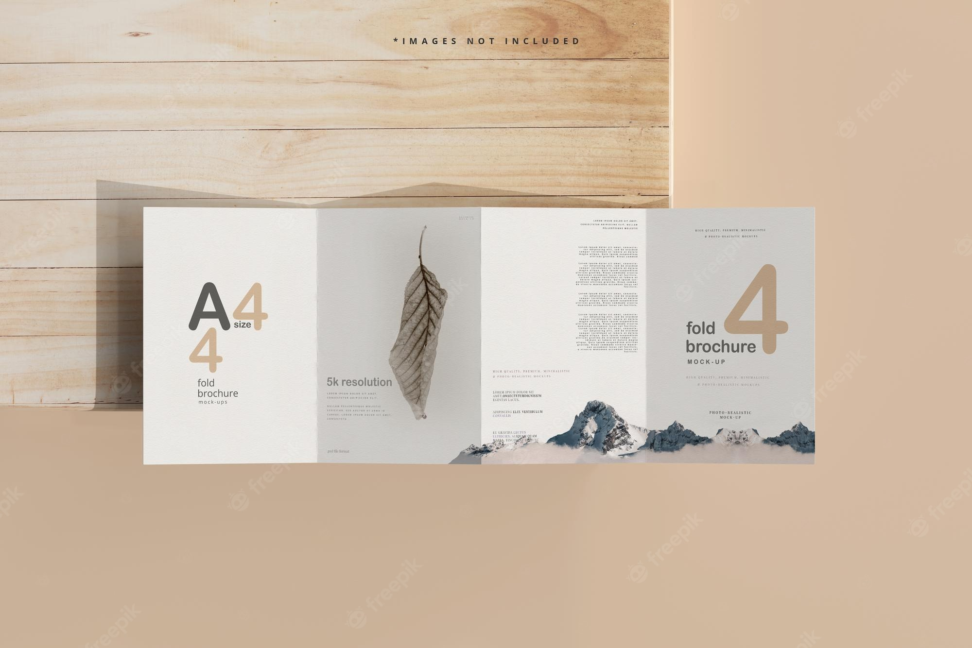 Four Fold Brochure Images  Free Vectors, Stock Photos & PSD For Brochure 4 Fold Template