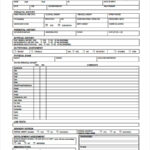 FREE 10+ Health Check Forms In PDF  Ms Word Pertaining To Health Check Report Template