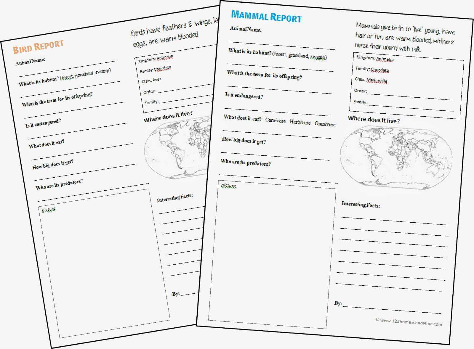 FREE Animal Report Template Regarding Animal Report Template