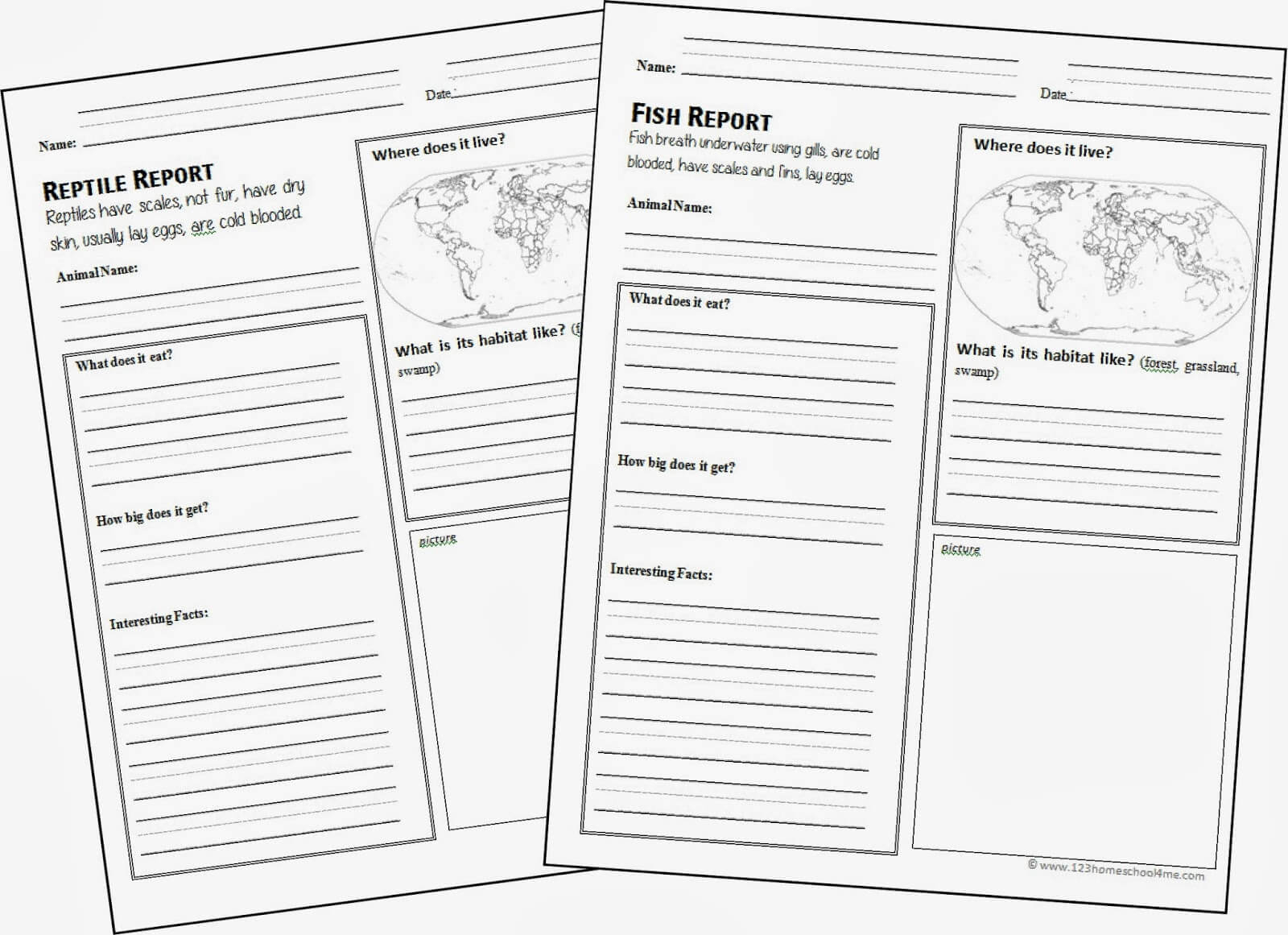 FREE Animal Report Template Within Animal Report Template