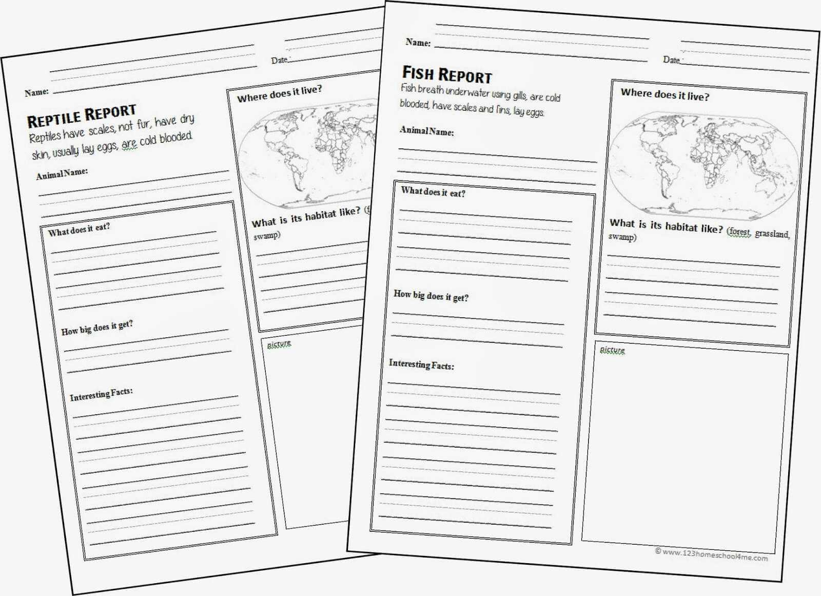 FREE Animal Report Template Within Animal Report Template