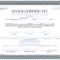 Free Certificate Of Stock Template – Corporate Stock Certificates In Shareholding Certificate Template