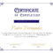 Free, Custom Printable Certificate Of Completion Templates  Canva In Certificate Of Completion Template Free Printable