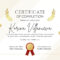 Free, Custom Printable Certificate Of Completion Templates  Canva Pertaining To Free Training Completion Certificate Templates