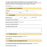 Free Incident Report Templates (10)  Sample – PDF  Word – EForms With Injury Report Form Template