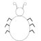 Free Ladybird Outline, Download Free Ladybird Outline Png Images  With Blank Ladybug Template