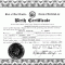 ?Free Printable Certificate Of Birth Sample Template? Intended For Official Birth Certificate Template