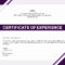 ❤️Free Printable Certificate Of Experience Sample Template❤️ Pertaining To Template Of Experience Certificate