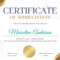 Free, Printable Custom Participation Certificate Templates  Canva Inside Certification Of Participation Free Template