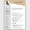 Free Resume Templates for Microsoft Word Download Now