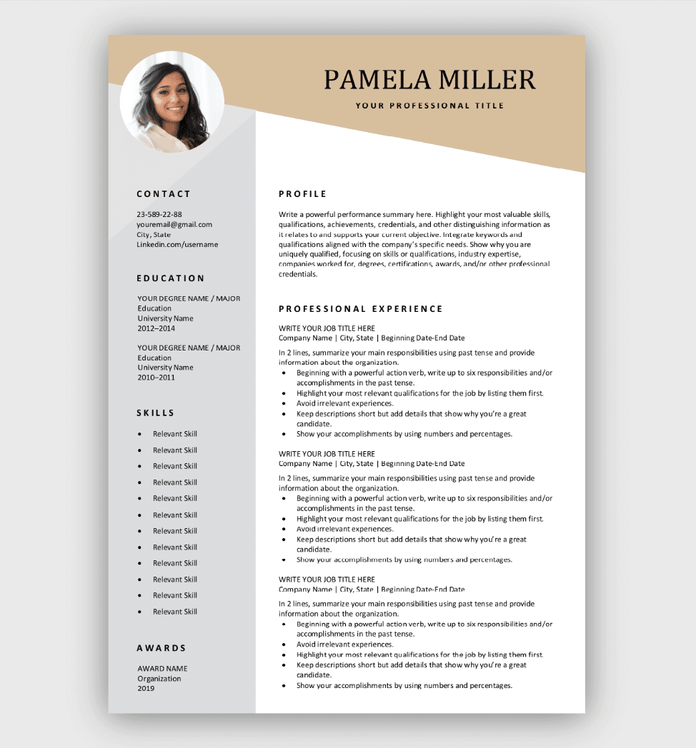 Free Resume Templates for Microsoft Word  Download Now