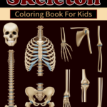Free SKELETON Coloring Pages For Download (Printable PDF) – VerbNow Regarding Skeleton Book Report Template