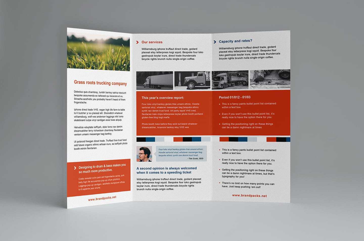 Free Trifold Brochure Template In PSD, Ai & Vector – BrandPacks Intended For 6 Panel Brochure Template