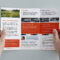 Free Trifold Brochure Template In PSD, Ai & Vector – BrandPacks Intended For Free Three Fold Brochure Template