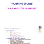 GMP PDF Audit Auditor’s Report Inside Gmp Audit Report Template