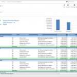 Grants Overview And Analysis Report For Nonprofits – Example, Uses Regarding Funding Report Template