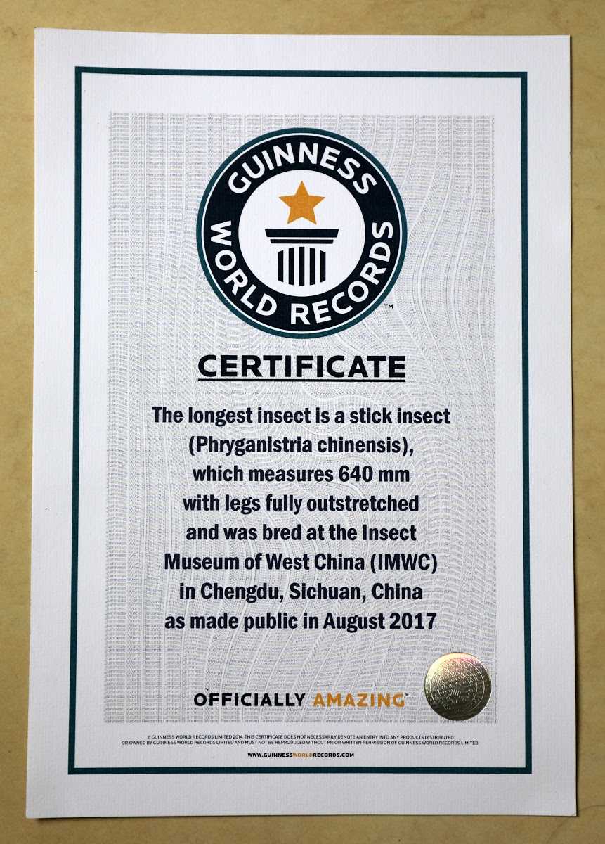 Guinness World Records Certificate for the Longest Insect — Google  Throughout Guinness World Record Certificate Template