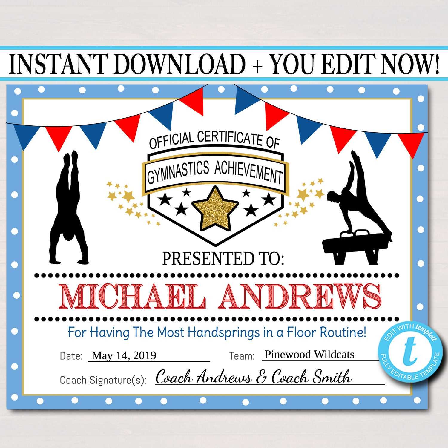 Gymnastics Certificates, Gymnastics Team Awards, Gymnastics Party  Printable, Printable Gymnast Certificate Awards Inside Gymnastics Certificate Template