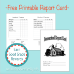 Homeschool Report Cards – Flanders Family Homelife Inside Homeschool Report Card Template