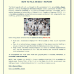 How to File an EEO-10 Report Download Printable PDF  Templateroller
