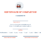 How To Get Your Forklift License (Certification) – Safesite For Forklift Certification Template
