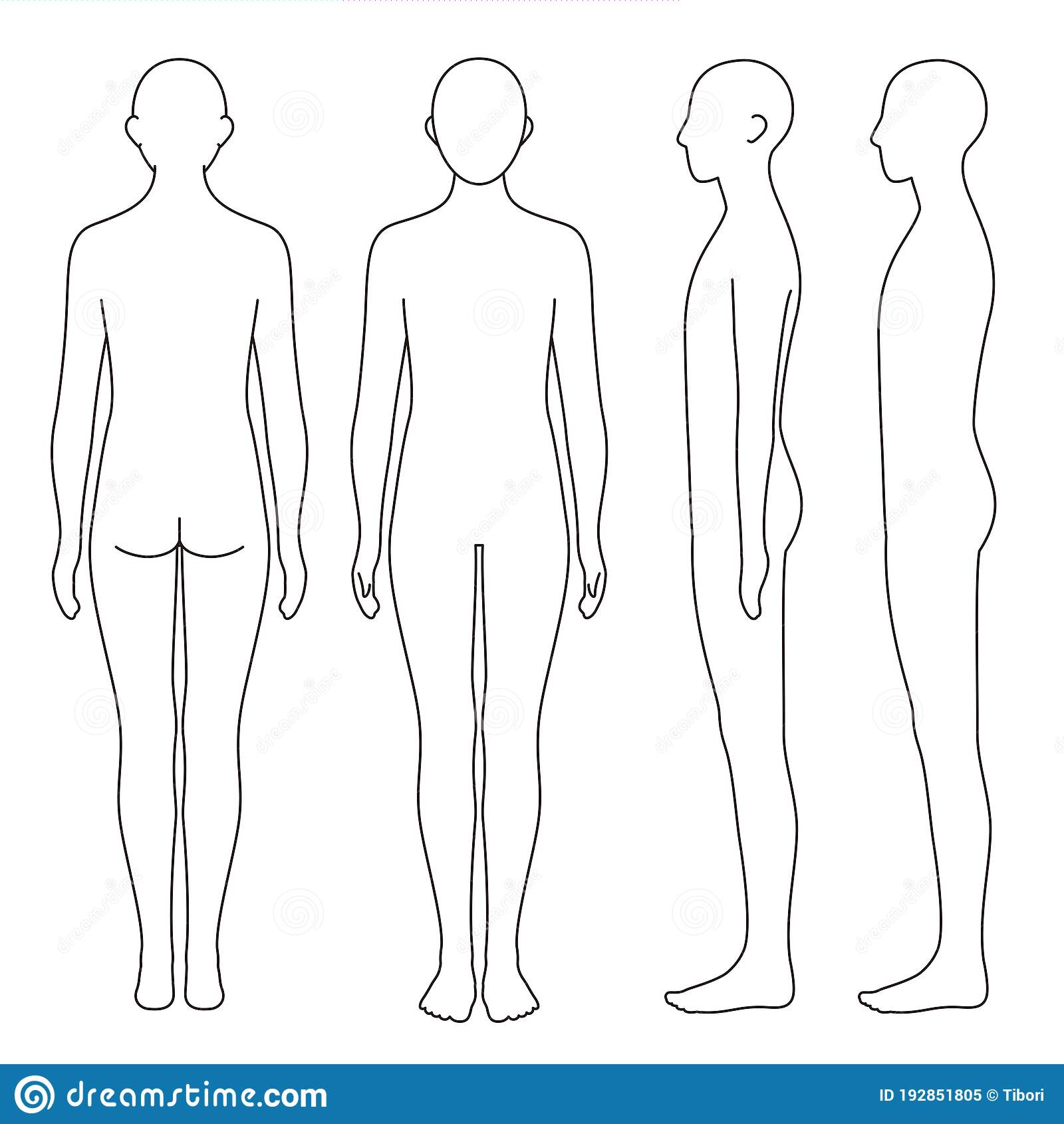 Human Body Outline Stock Illustrations – 10,10 Human Body Outline  Within Blank Body Map Template