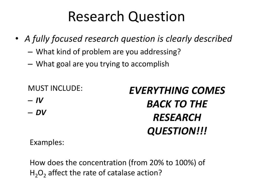 IB Biology Lab Report Guidelines – Ppt Download Within Ib Lab Report Template