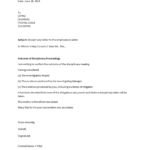 Kostenloses Sample Disciplinary Letter To The Employee Intended For Investigation Report Template Disciplinary Hearing