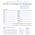 LLC MINUTES – Free First LLC Meeting Minutes Template Intended For Llc Annual Report Template