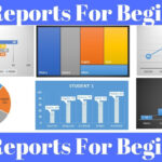 MIS Report In Excel For Beginners For Mi Report Template